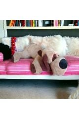 Mellito Toyzz Kocaburun Köpek Peluş Uyku Arkadaşı ve Oyuncak Hediyelik