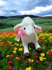 Mellito Toyzz 60 Cm Kıvırcık Sevimli Kuzu Peluş Oyuncak ve Uyku Arkadaşı