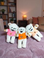 30 C M Yumuşacık Yumoş Ayıcık