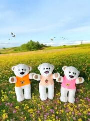 30 C M Yumuşacık Yumoş Ayıcık