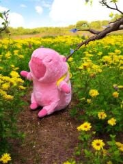 Mellito Toyzz 35 Cm Capybara Peluş Oyuncak Cappy Kaplumbağa Çantalı