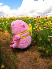 Mellito Toyzz 35 Cm Capybara Peluş Oyuncak Cappy Kaplumbağa Çantalı