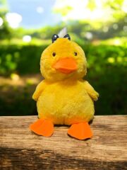 MELLİTO TOYZZ 30 Cm Sevimli Çiko Civciv Peluş Uyku Arkadaşı ve Oyuncak